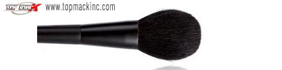 Cosmetic Brush