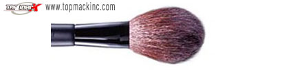 Cosmetic Brush